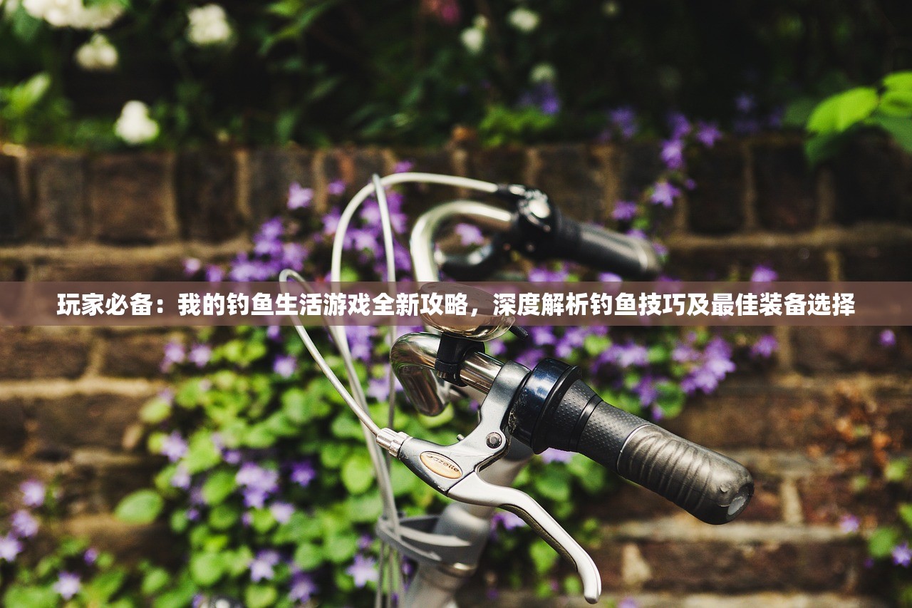 2024澳门特马今晚开|保证资料解读的准确性与实用性_娱乐版BT.5.622