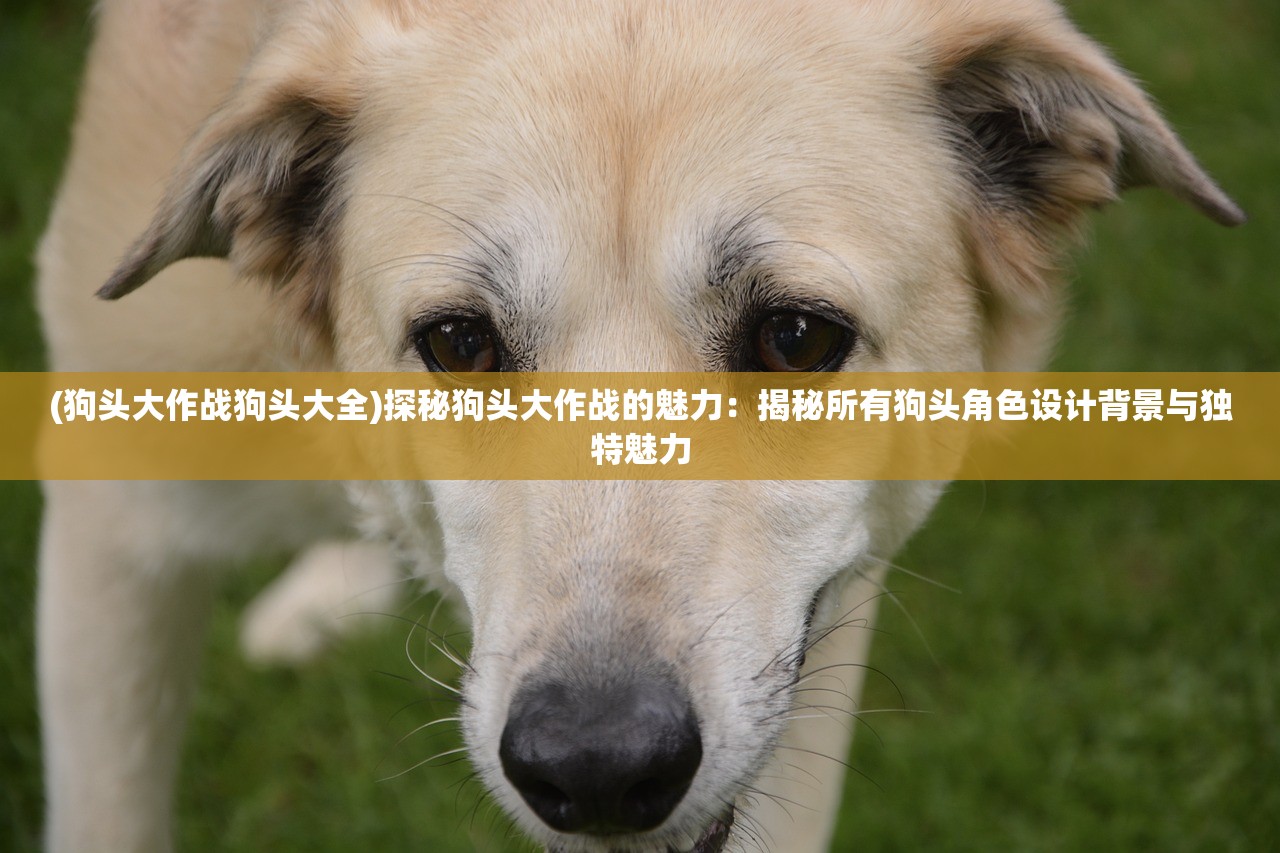大三巴com388838|理论解答解释落实_标准版.3.489
