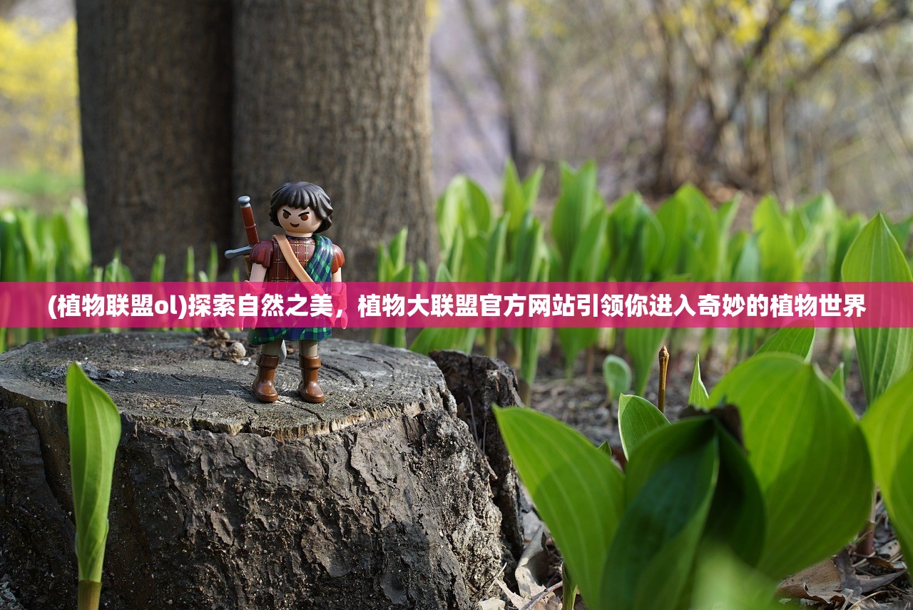 天天彩246天下彩二四六|可靠研究解释落实_探索版.0.34