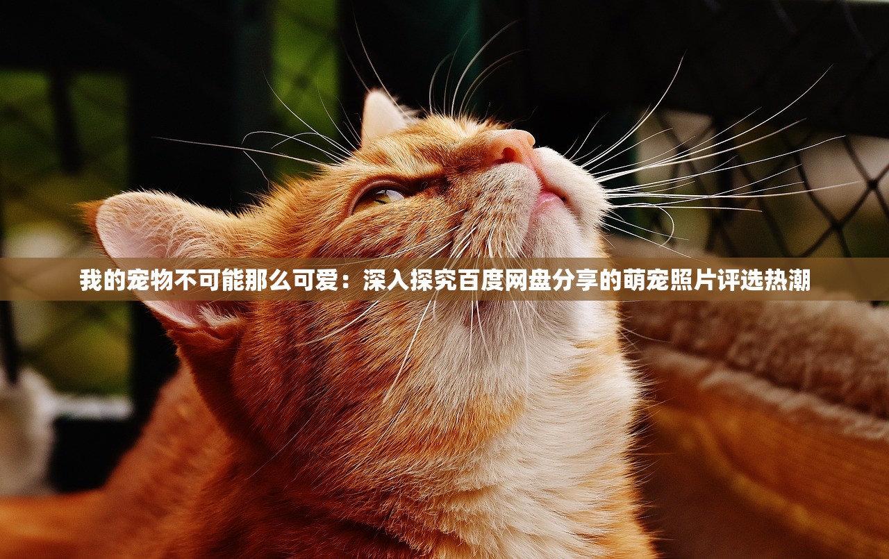 管家婆一肖-一码-一中|国产化作答解释落实_网红版Meituan.7.319