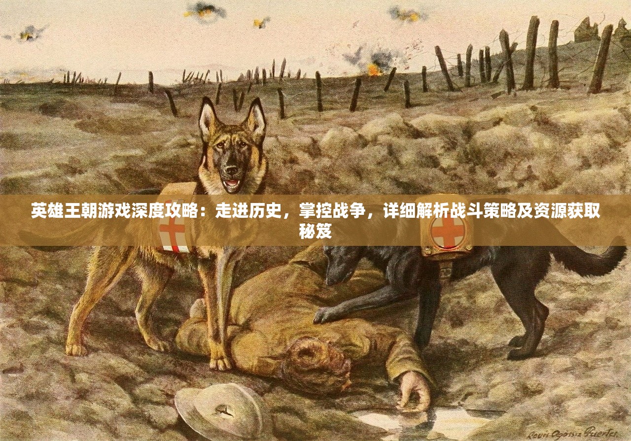 江左梅郎48724CC|探索新兴市场投资趋势_专属款.8.188