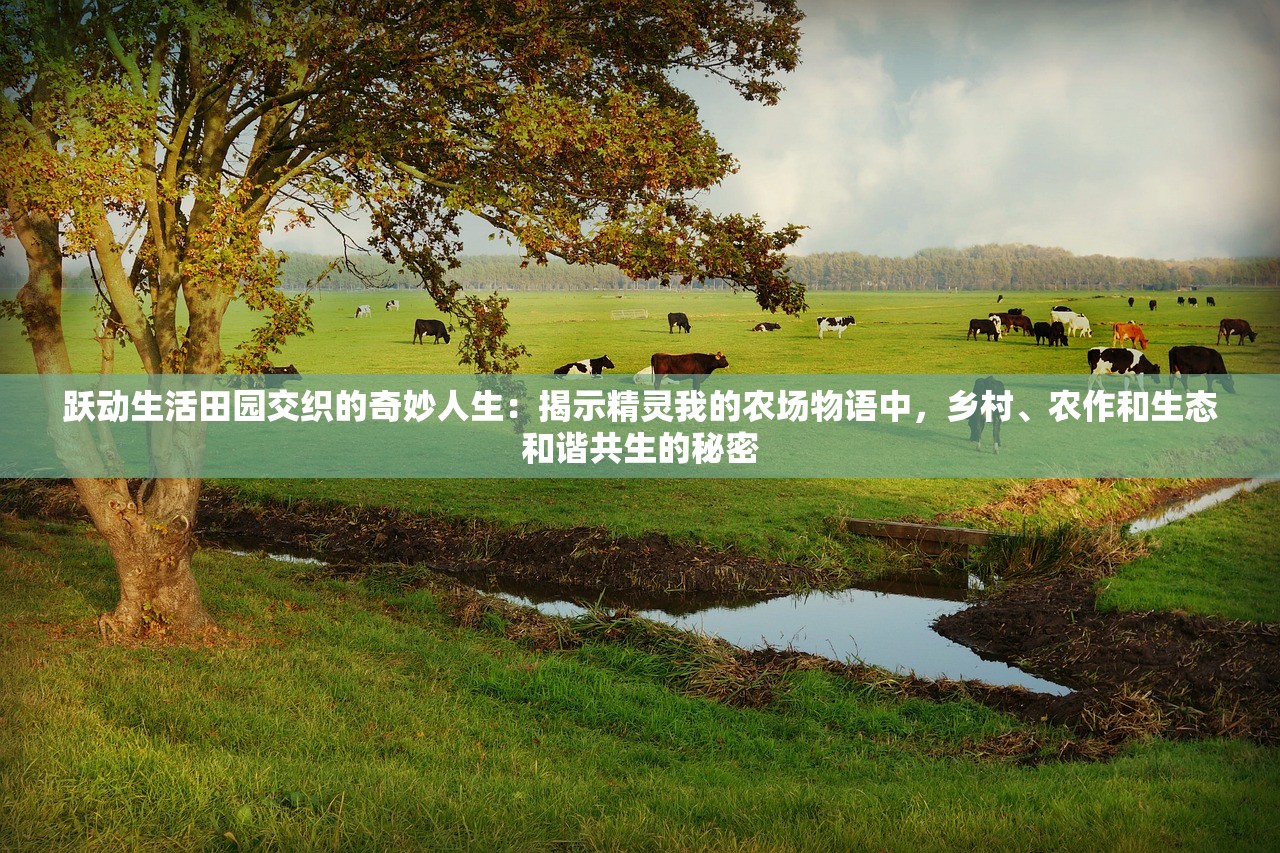 2024新澳门正版免费|分析与解释成语的收益与意义_扩展版.2.849