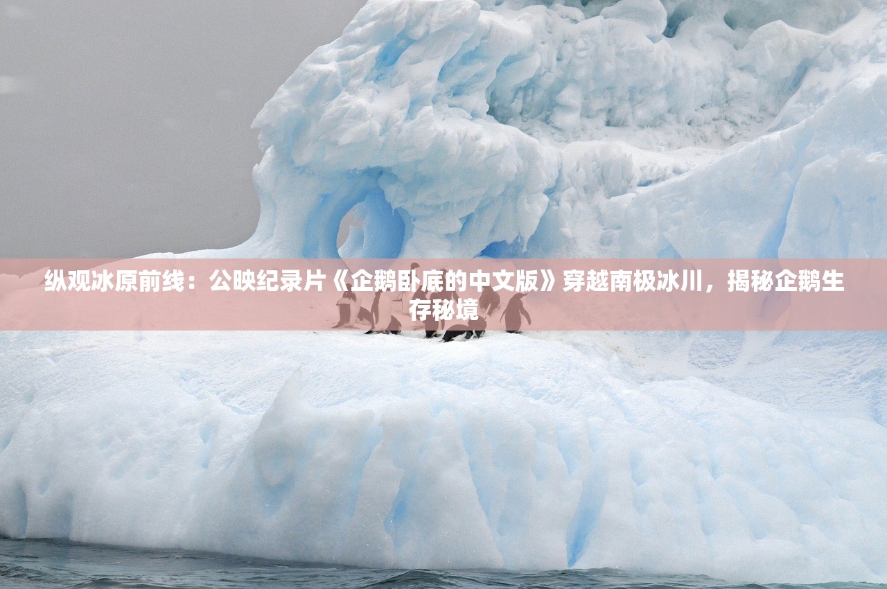 澳门管家婆100%精准|绝对经典解释落实_竞速版.1.646